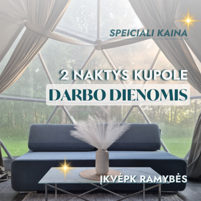 DARBO DIENOS KOVĄ