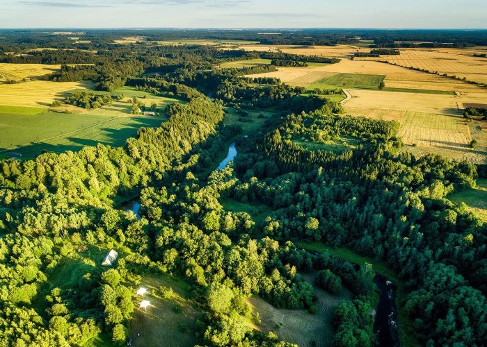 Slenis is paukscio skrydzio